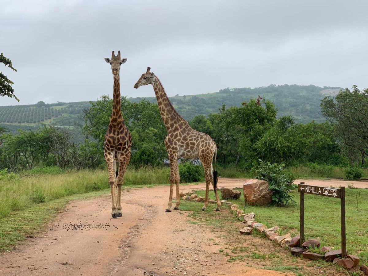 Ndhula Luxury Tented Lodge White River Exterior photo